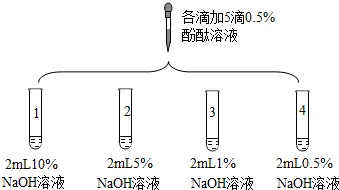 1740 2026年中考化学总复习专题突破:科学探究题(免费下载) 第8张