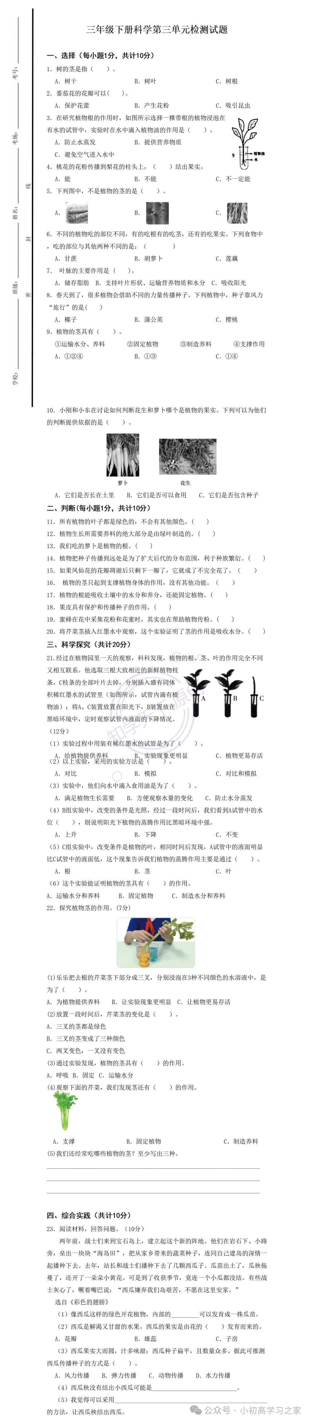 试卷习题║新青岛版三下科学第三单元《植物的＂身体＂》单元测试(2026春新教材),小学科学三年级下册大全! 第3张