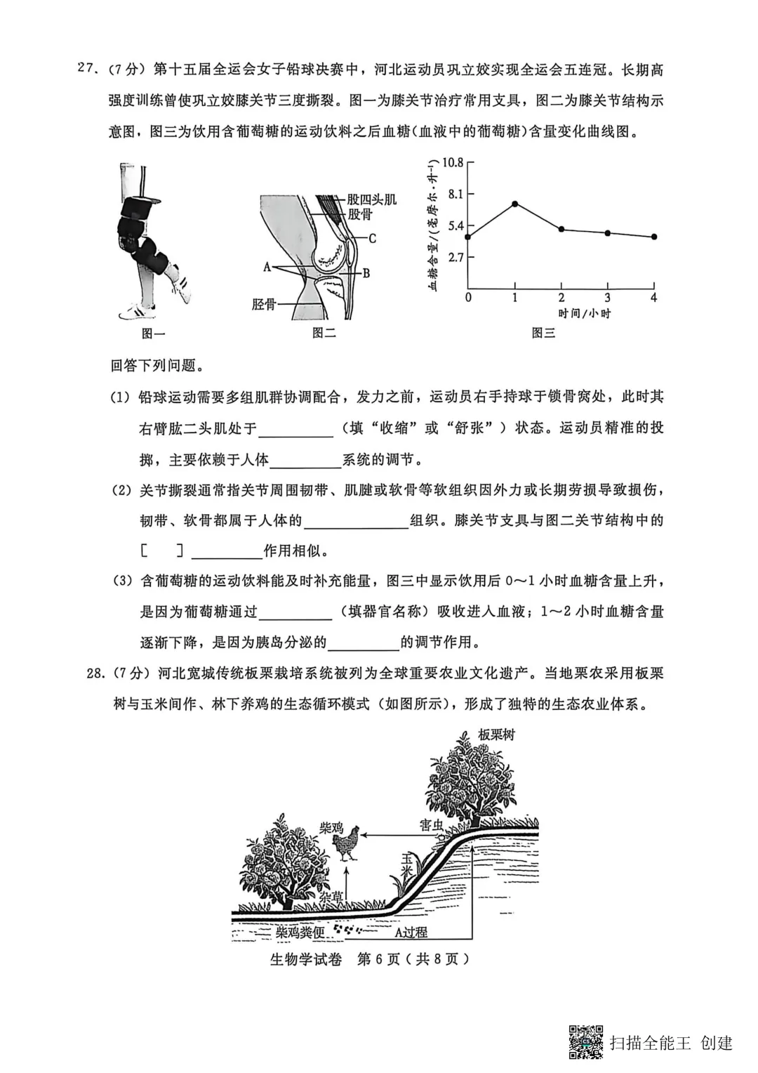 2026中考邢台市八年级地生模拟试卷+答案 第17张