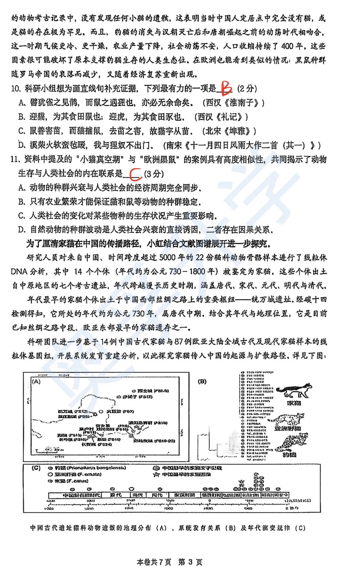 对答案!最全2026中考二模10区试卷&答案!<杨浦/闵行/静安/虹口/徐汇等> 第61张