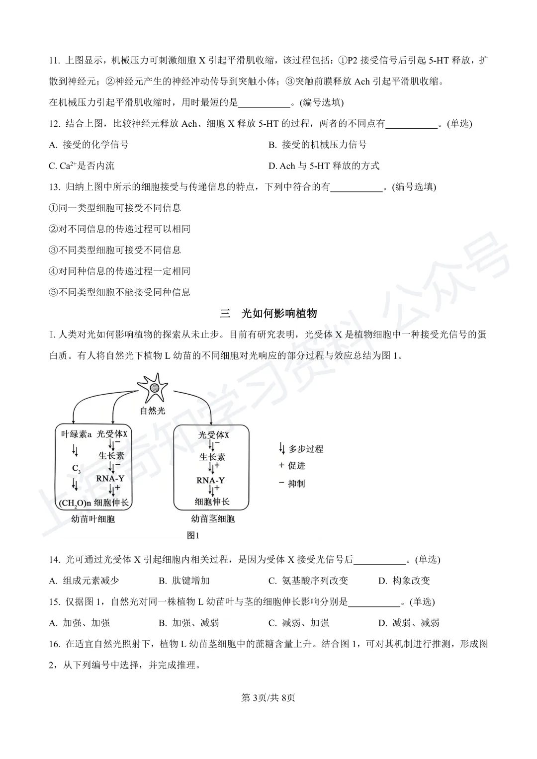 2025等级考真题卷、26届高三二模卷答案!已更新! 第20张 2025等级考真题卷、26届高三二模卷答案!已更新! 第20张