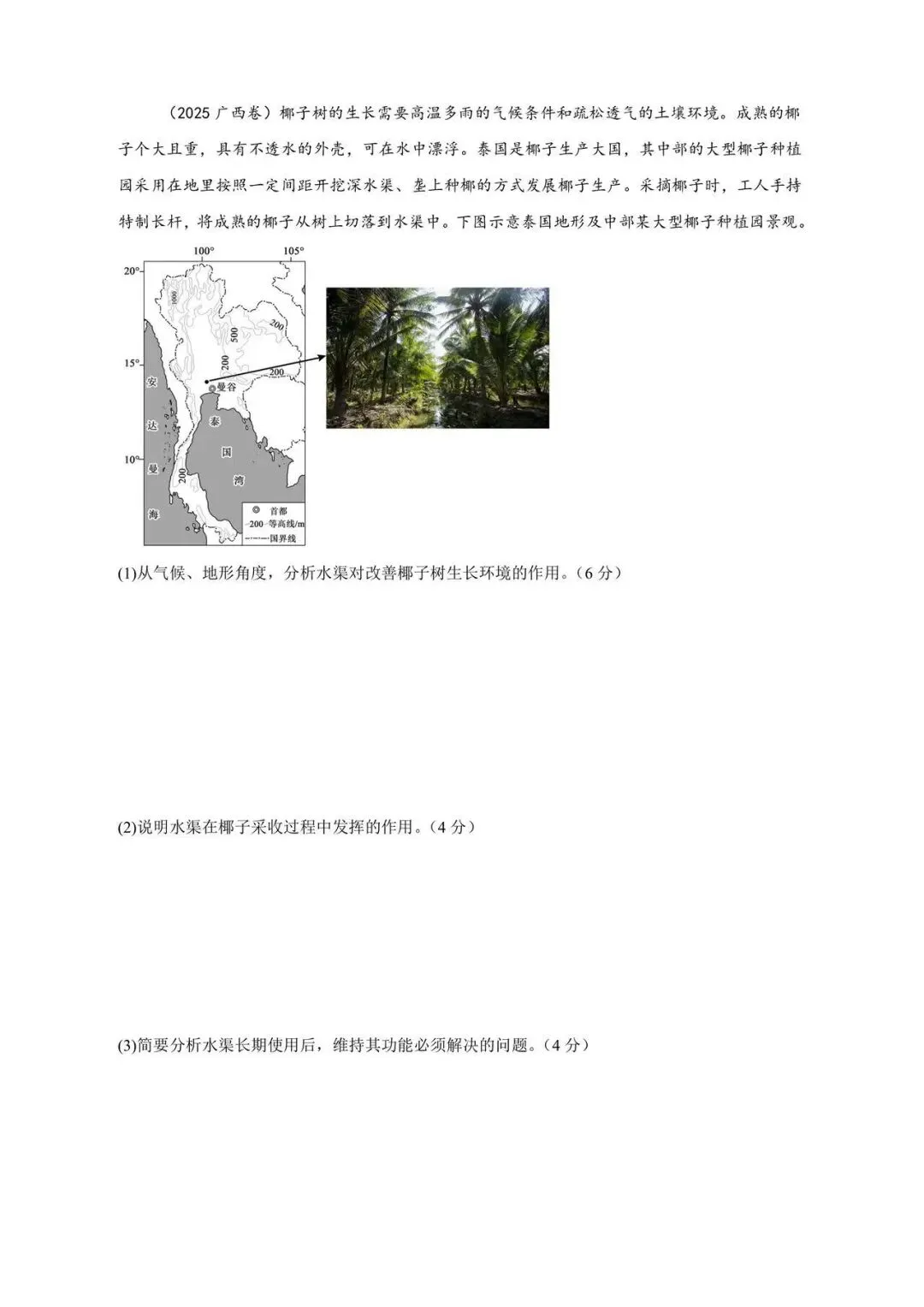 真题解析|2025广西卷水渠椰子 第1张