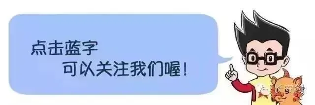 中考数据参考|2025年各高中班型大全/中考一模后志愿填报定位表/志愿填报推荐表及参考数据 第1张