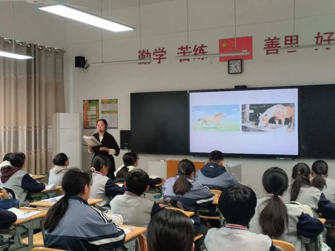 智数赋能共研复习 城乡携手备战中考——南师附中新城初中与桠溪中学开展“城乡初中一体化发展联盟”联合教研活动 第2张 智数赋能共研复习 城乡携手备战中考——南师附中新城初中与桠溪中学开展“城乡初中一体化发展联盟”联合教研活动 第2张