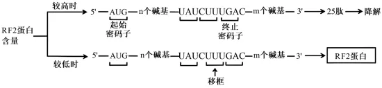 2026年4月高考模拟考试生物学 第1张
