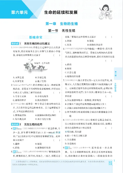 《5年中考3年模拟》初中同步-2026版人教版生物8年级下册 第5张 《5年中考3年模拟》初中同步-2026版人教版生物8年级下册 第5张