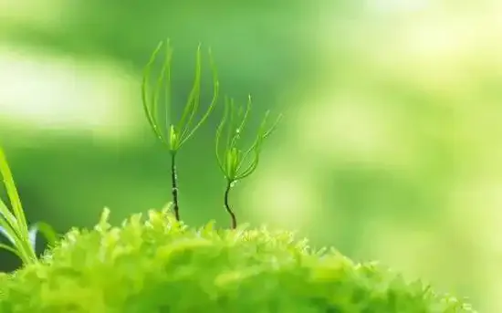 【家校共育】一场沟通的雪崩:天津家长要试卷事件深度复盘,读懂家校沟通的底层温柔 第6张
