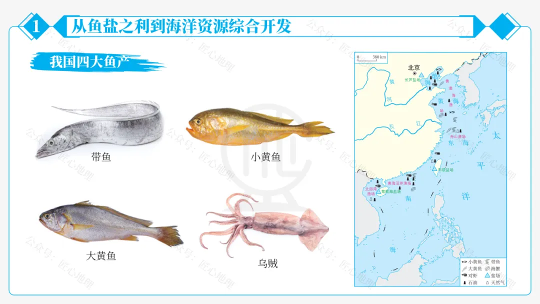 新教材 | 中考一轮复习·中国的海洋资源(课件+导学单+练习题) 第29张 新教材 | 中考一轮复习·中国的海洋资源(课件+导学单+练习题) 第29张
