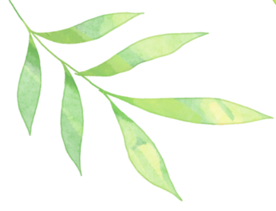 必背!中考一模范文+小泽物理独家解析! 第15张