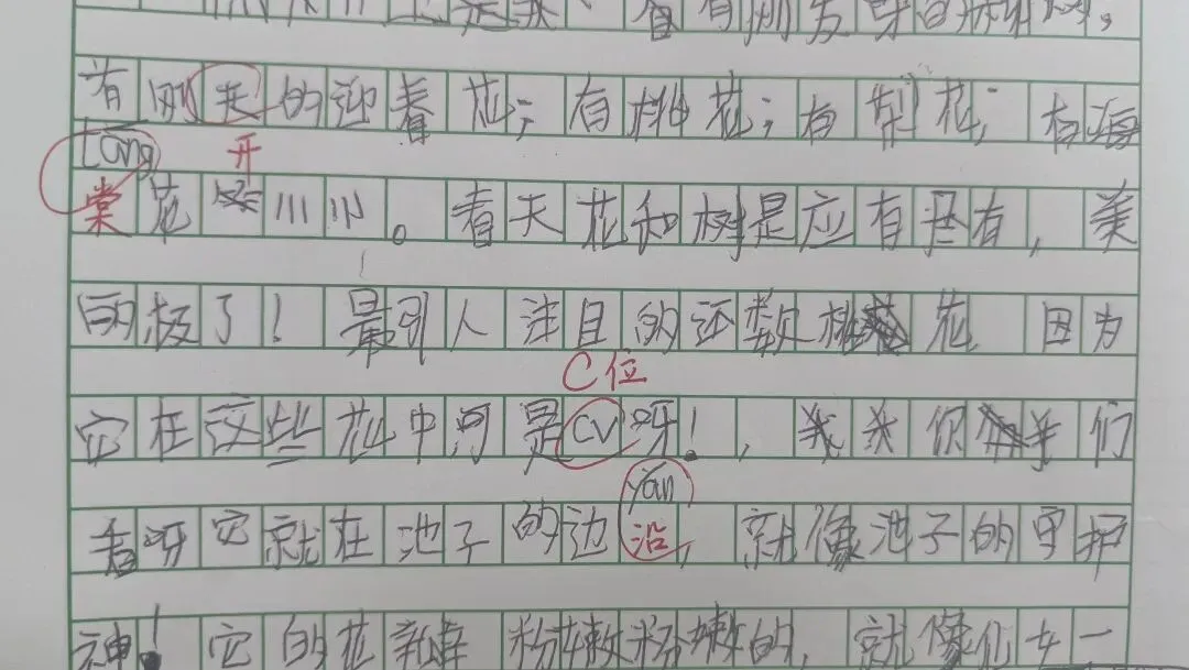 艾晨儿改作文:三年级下册期中试卷作文题目 第5张 艾晨儿改作文:三年级下册期中试卷作文题目 第5张