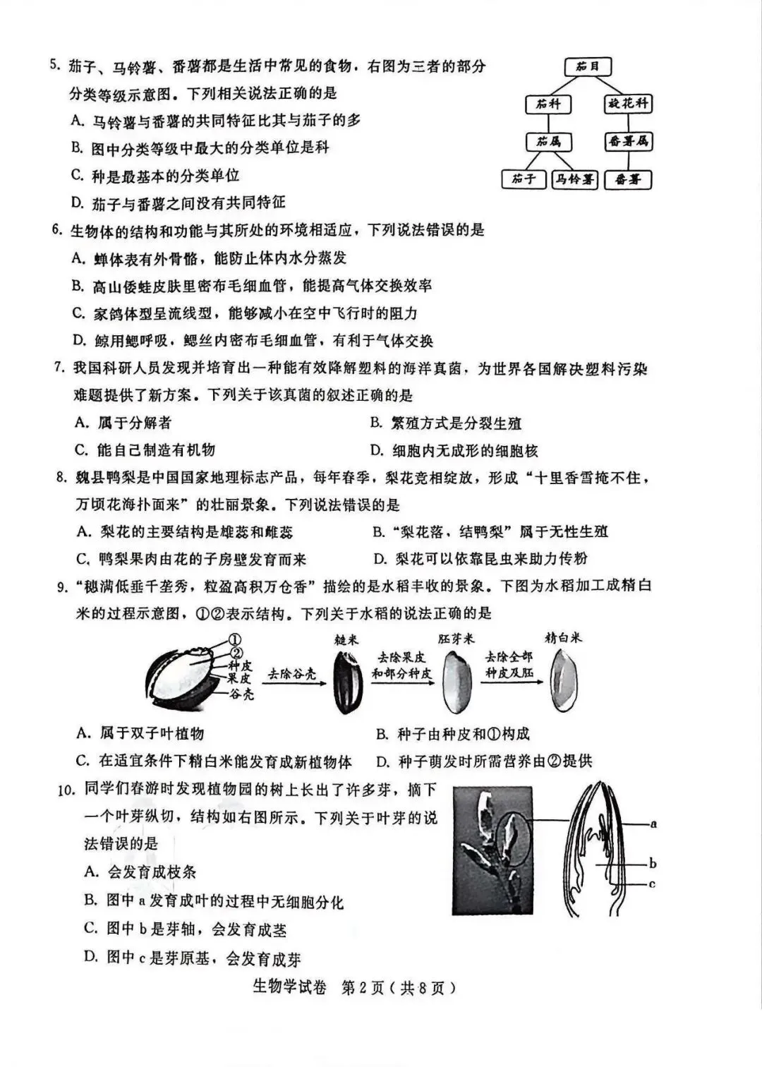 2026年邢台市八年级中考一模生物试卷 第2张