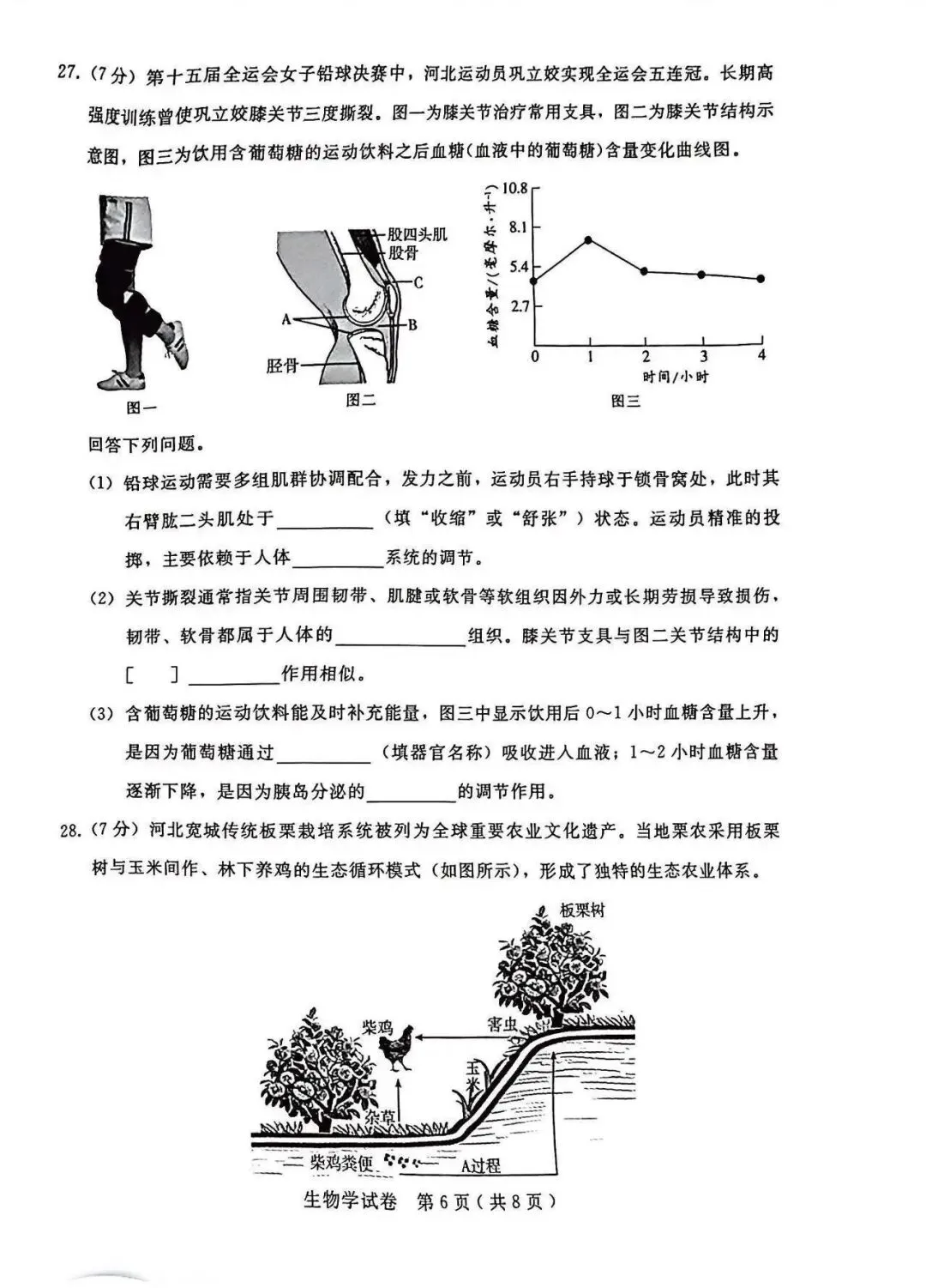 2026年邢台市八年级中考一模生物试卷 第6张