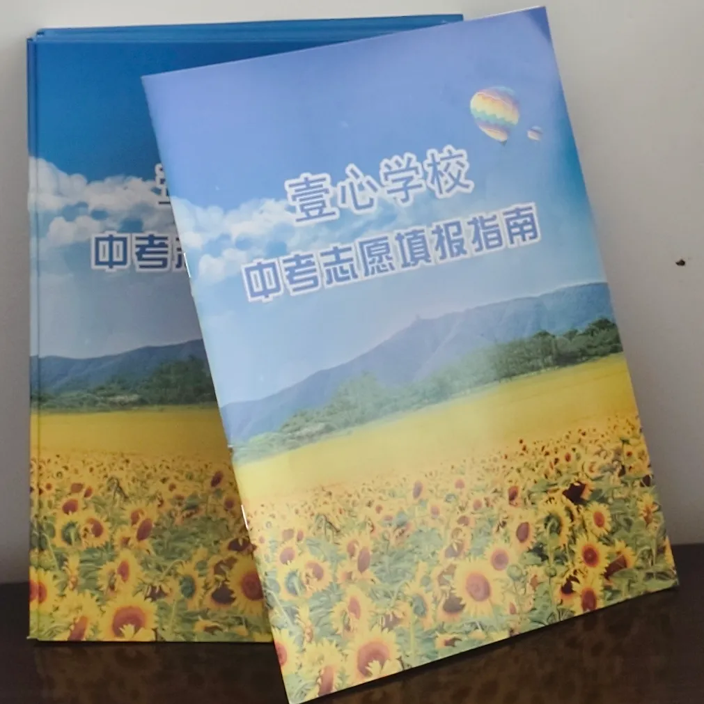 青春的分水岭:中考志愿,藏着孩子的下一段人生 第4张 青春的分水岭:中考志愿,藏着孩子的下一段人生 第4张