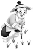 中考真题(12)2025年江西省中考英语真题及答案 第5张 中考真题(12)2025年江西省中考英语真题及答案 第5张