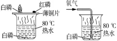 中考冲刺化学--实验篇(下)11 大必考实验,背完直接拿满分! 第13张 中考冲刺化学--实验篇(下)11 大必考实验,背完直接拿满分! 第13张