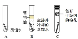 中考冲刺化学--实验篇(下)11 大必考实验,背完直接拿满分! 第16张 中考冲刺化学--实验篇(下)11 大必考实验,背完直接拿满分! 第16张