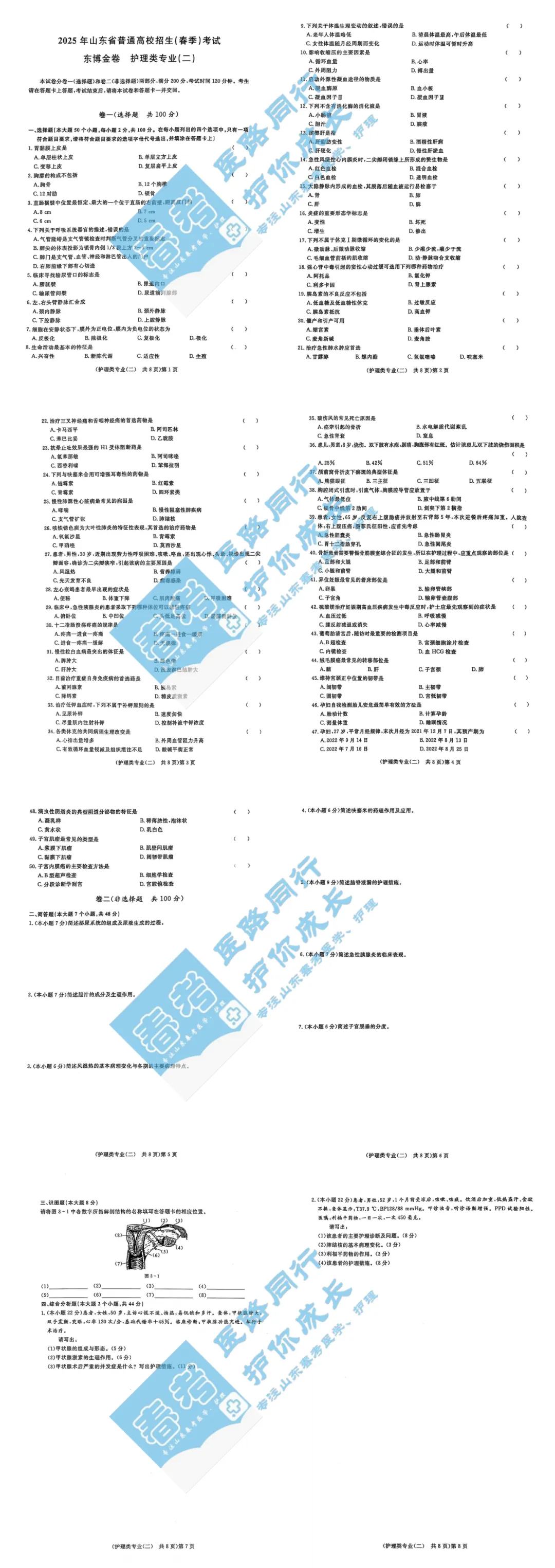 春考冲刺|护理高频考点试卷(二) 第1张 春考冲刺|护理高频考点试卷(二) 第1张