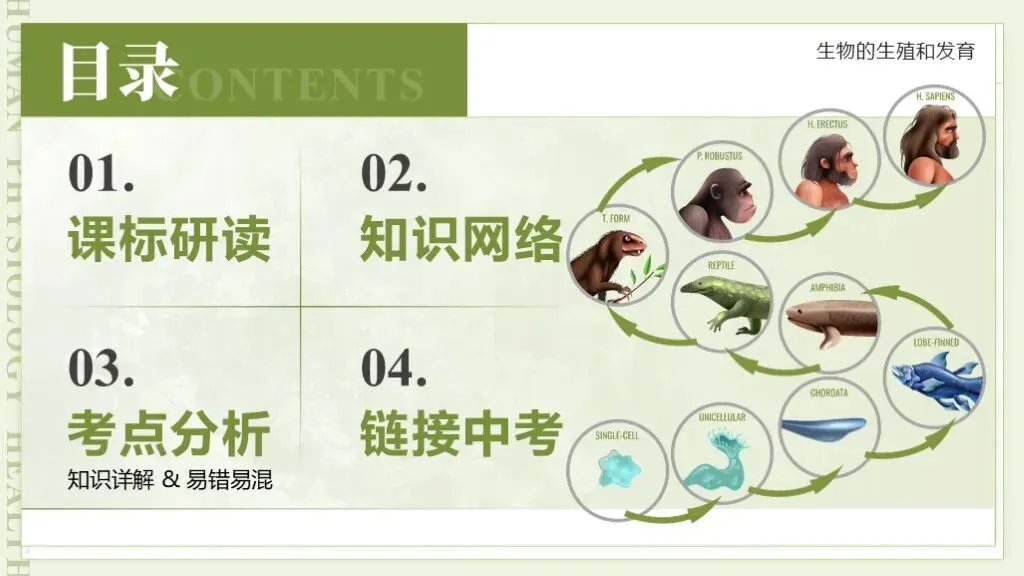 【26全新】生物中考专题复习 | 专题6-3《遗传与进化——生命的起源和进化》,附赠配套专题训练+解析! 第6张 【26全新】生物中考专题复习 | 专题6-3《遗传与进化——生命的起源和进化》,附赠配套专题训练+解析! 第6张