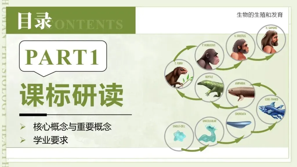【26全新】生物中考专题复习 | 专题6-3《遗传与进化——生命的起源和进化》,附赠配套专题训练+解析! 第7张 【26全新】生物中考专题复习 | 专题6-3《遗传与进化——生命的起源和进化》,附赠配套专题训练+解析! 第7张