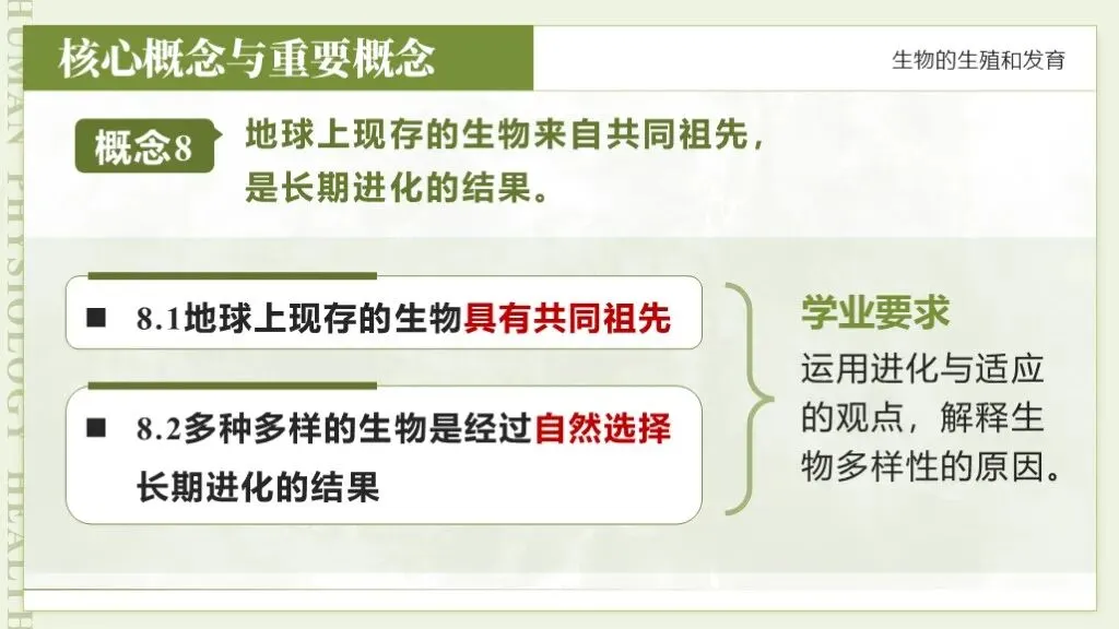 【26全新】生物中考专题复习 | 专题6-3《遗传与进化——生命的起源和进化》,附赠配套专题训练+解析! 第8张 【26全新】生物中考专题复习 | 专题6-3《遗传与进化——生命的起源和进化》,附赠配套专题训练+解析! 第8张