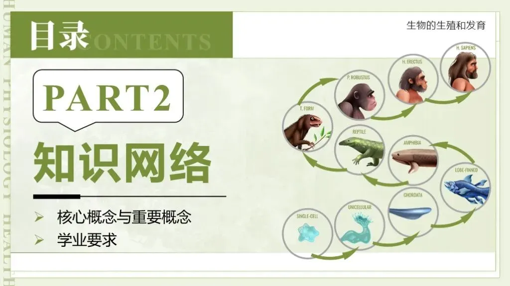 【26全新】生物中考专题复习 | 专题6-3《遗传与进化——生命的起源和进化》,附赠配套专题训练+解析! 第10张 【26全新】生物中考专题复习 | 专题6-3《遗传与进化——生命的起源和进化》,附赠配套专题训练+解析! 第10张