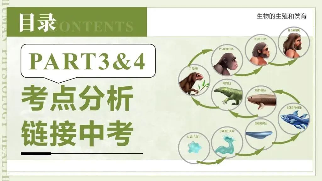 【26全新】生物中考专题复习 | 专题6-3《遗传与进化——生命的起源和进化》,附赠配套专题训练+解析! 第12张 【26全新】生物中考专题复习 | 专题6-3《遗传与进化——生命的起源和进化》,附赠配套专题训练+解析! 第12张