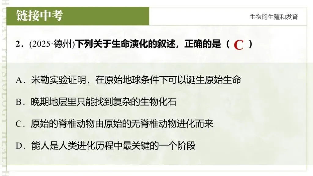 【26全新】生物中考专题复习 | 专题6-3《遗传与进化——生命的起源和进化》,附赠配套专题训练+解析! 第17张 【26全新】生物中考专题复习 | 专题6-3《遗传与进化——生命的起源和进化》,附赠配套专题训练+解析! 第17张