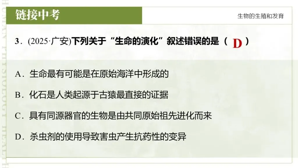 【26全新】生物中考专题复习 | 专题6-3《遗传与进化——生命的起源和进化》,附赠配套专题训练+解析! 第18张 【26全新】生物中考专题复习 | 专题6-3《遗传与进化——生命的起源和进化》,附赠配套专题训练+解析! 第18张