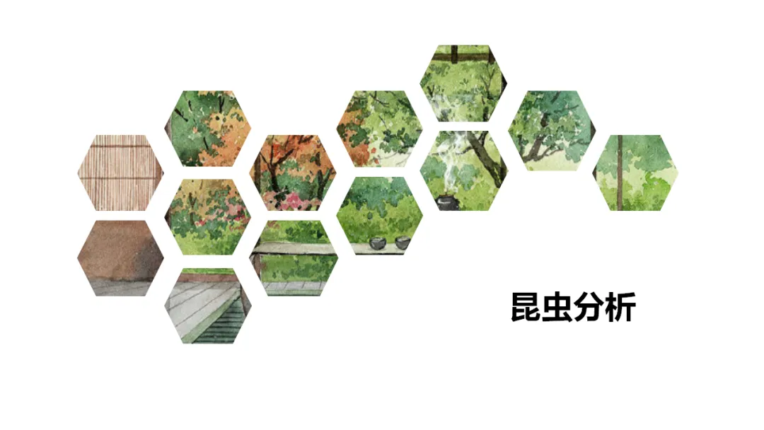 新课标中考必读名著《昆虫记》复习:名著概览+考法+精炼 第10张 新课标中考必读名著《昆虫记》复习:名著概览+考法+精炼 第10张