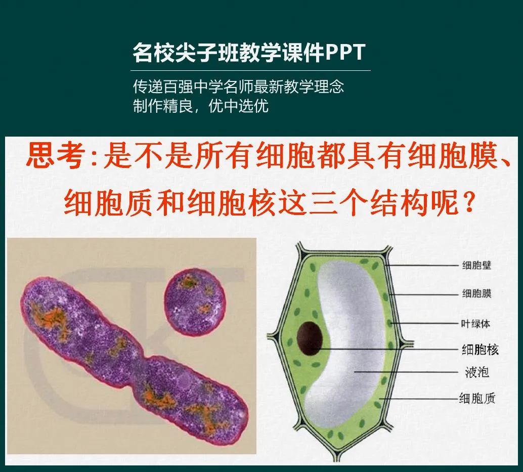 七(下)数学期中考试卷,难度适中,考点全面,最低只考14分 第12张