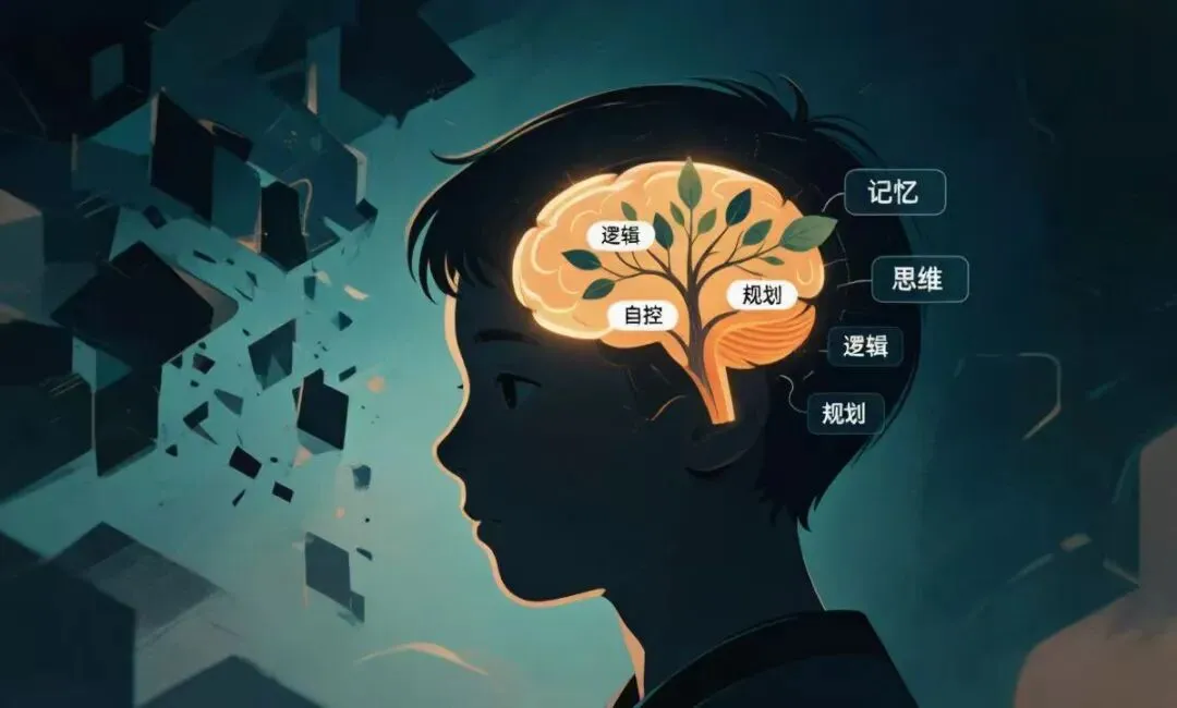 北京中考改革了,别再“虚假繁荣”:脑科学告诉你,什么才是真能力 第3张 北京中考改革了,别再“虚假繁荣”:脑科学告诉你,什么才是真能力 第3张