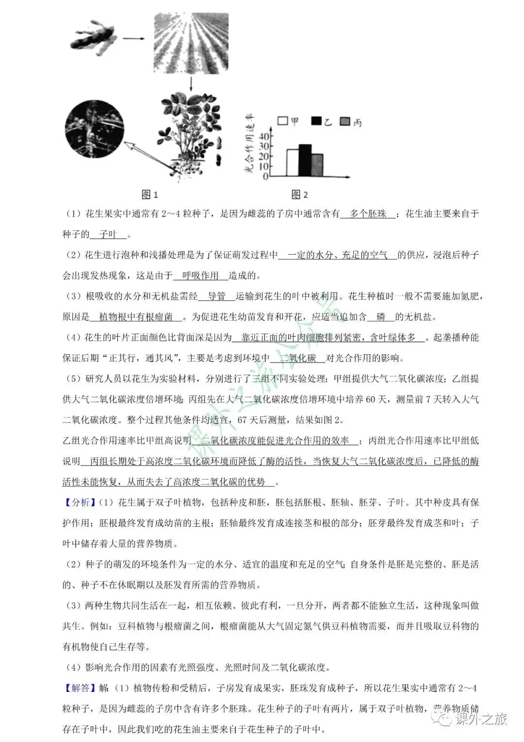 【中考真题】生物《中考真题测试卷》(含答案)可下载 第22张 【中考真题】生物《中考真题测试卷》(含答案)可下载 第22张