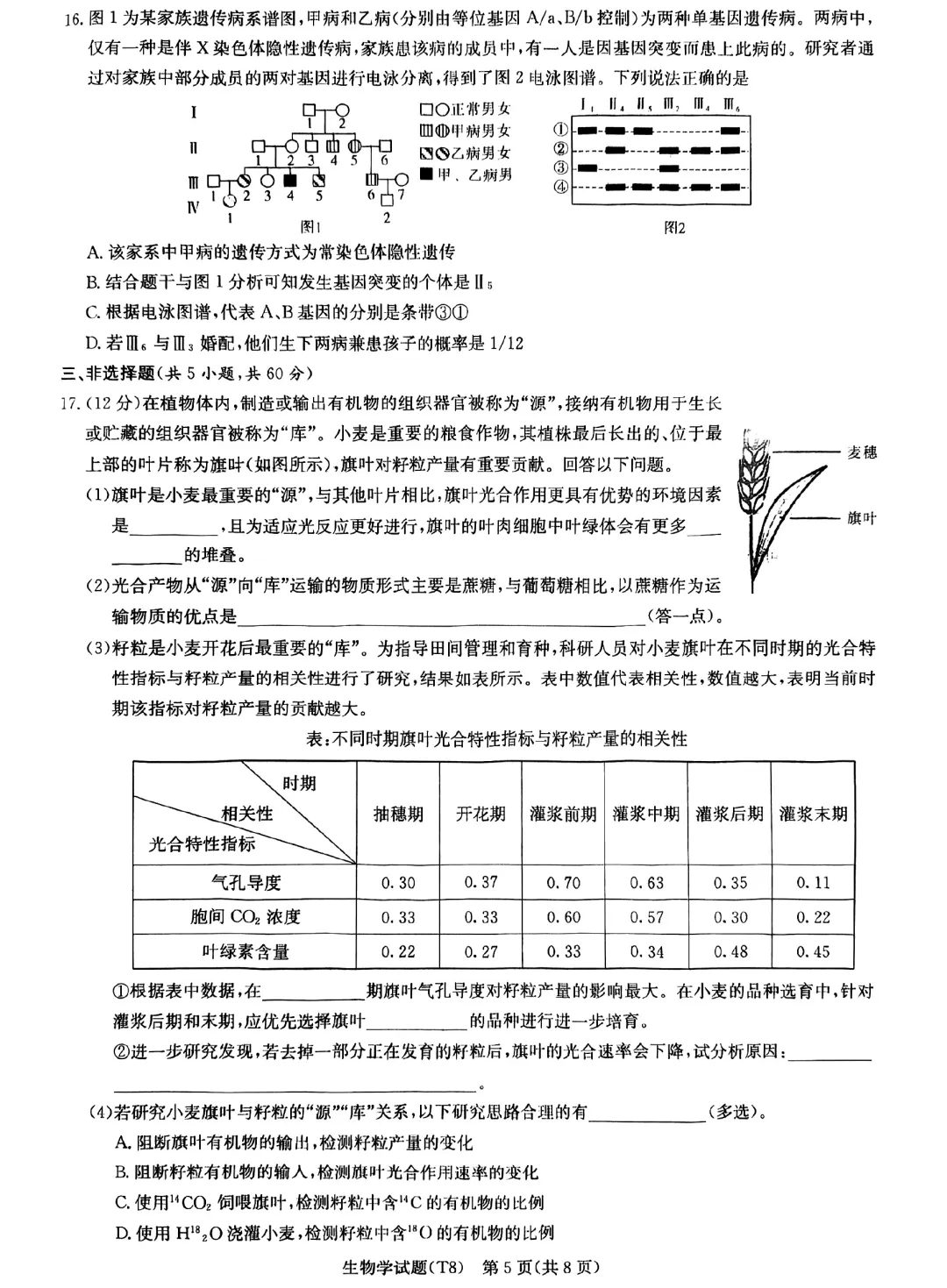 2026届湖南师大附中高三4月模拟考试生物学试题 第5张