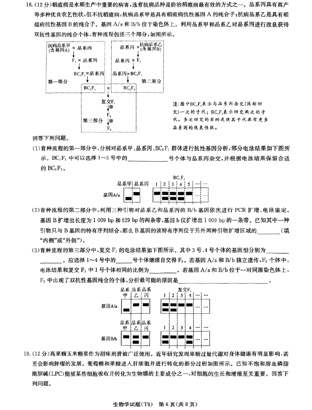 2026届湖南师大附中高三4月模拟考试生物学试题 第6张