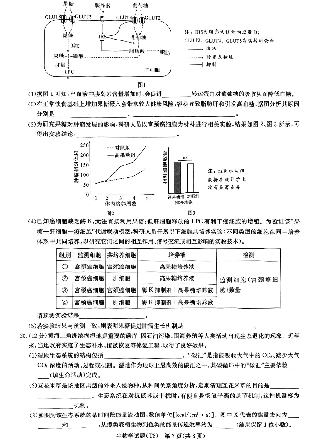 2026届湖南师大附中高三4月模拟考试生物学试题 第7张