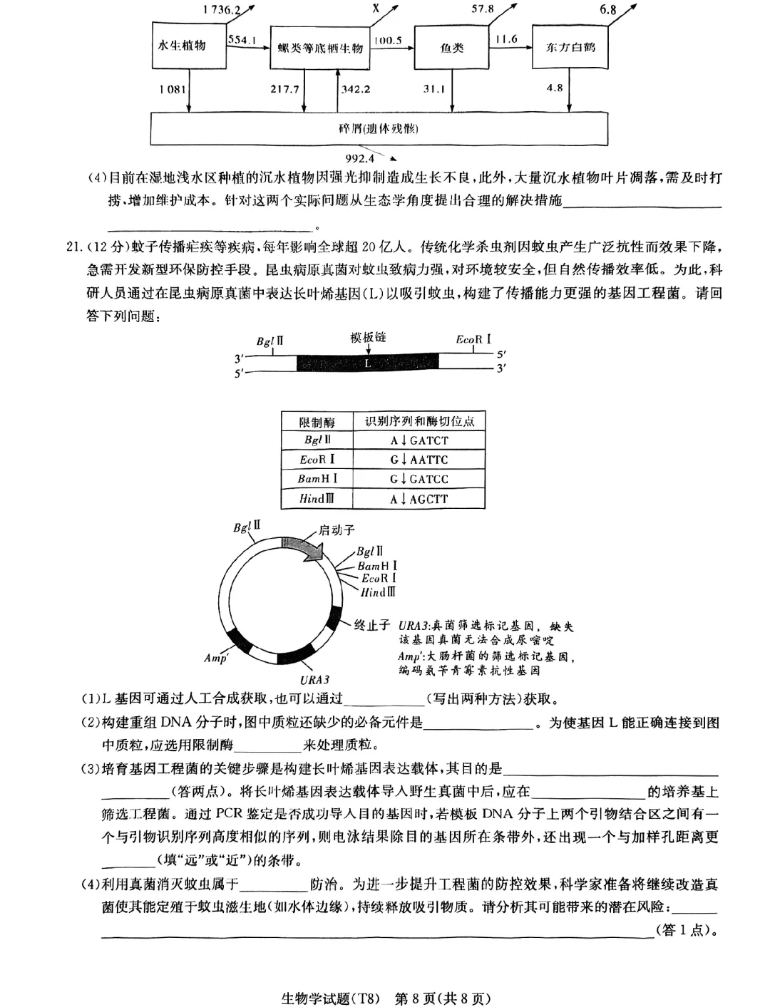 2026届湖南师大附中高三4月模拟考试生物学试题 第8张