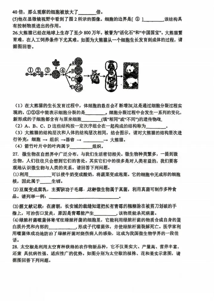松雷中学八年级试卷+答案【2026年】【生物】【高清电子版】 第6张 松雷中学八年级试卷+答案【2026年】【生物】【高清电子版】 第6张