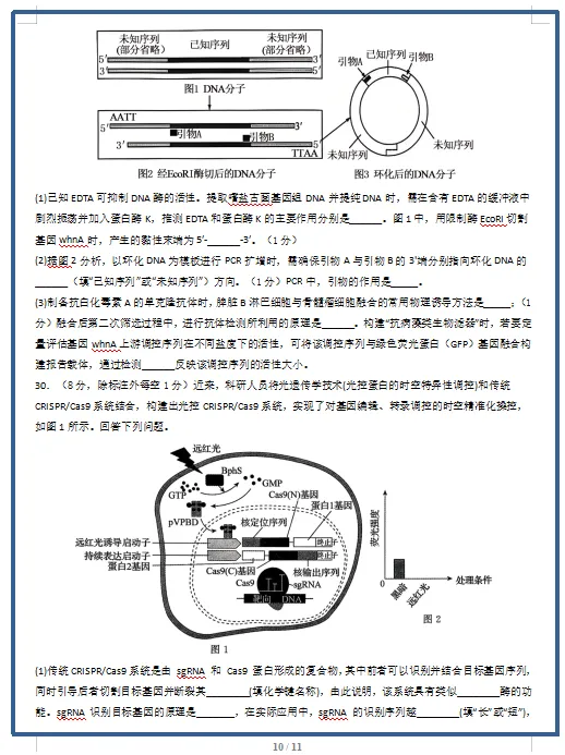 2026春人教版生物:高二生物下学期期中考试模拟试卷(共2套),提前打印出来做一做,拿高分! 第12张 2026春人教版生物:高二生物下学期期中考试模拟试卷(共2套),提前打印出来做一做,拿高分! 第12张