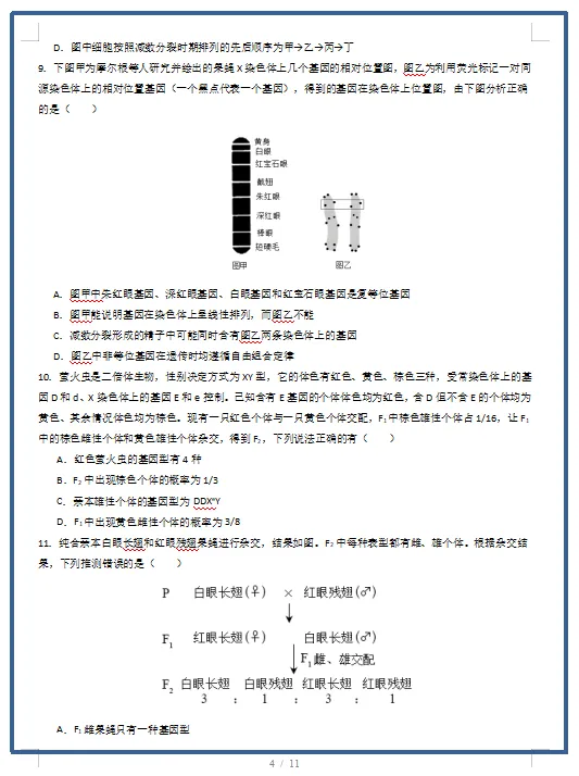 2026春人教版生物:高一生物下学期期中考试模拟试卷(共2套),提前打印出来做一做,拿高分! 第6张 2026春人教版生物:高一生物下学期期中考试模拟试卷(共2套),提前打印出来做一做,拿高分! 第6张