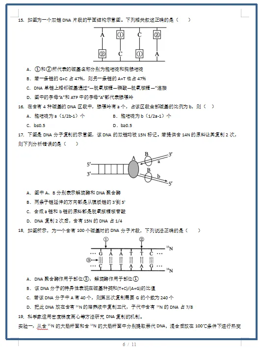 2026春人教版生物:高一生物下学期期中考试模拟试卷(共2套),提前打印出来做一做,拿高分! 第8张 2026春人教版生物:高一生物下学期期中考试模拟试卷(共2套),提前打印出来做一做,拿高分! 第8张