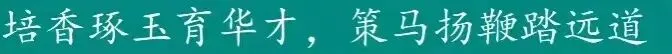 群策群力助中考 倾囊相授传匠心——银川市第三十六中学语文组开展备考系列专题活动 第15张 群策群力助中考 倾囊相授传匠心——银川市第三十六中学语文组开展备考系列专题活动 第15张