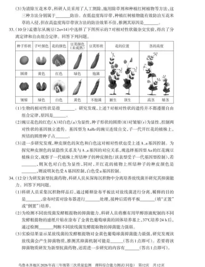 乌鲁木齐地区2026年高三年级三模理综试卷 第12张 乌鲁木齐地区2026年高三年级三模理综试卷 第12张