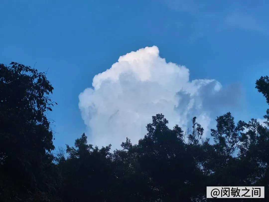 教学|试卷讲评的一些思考 第4张 教学|试卷讲评的一些思考 第4张