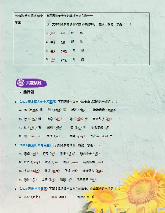 2026年中考语文高频必刷(真题精选汇编)100题,打印出来练熟了,考试高分不再话下! 第4张 2026年中考语文高频必刷(真题精选汇编)100题,打印出来练熟了,考试高分不再话下! 第4张
