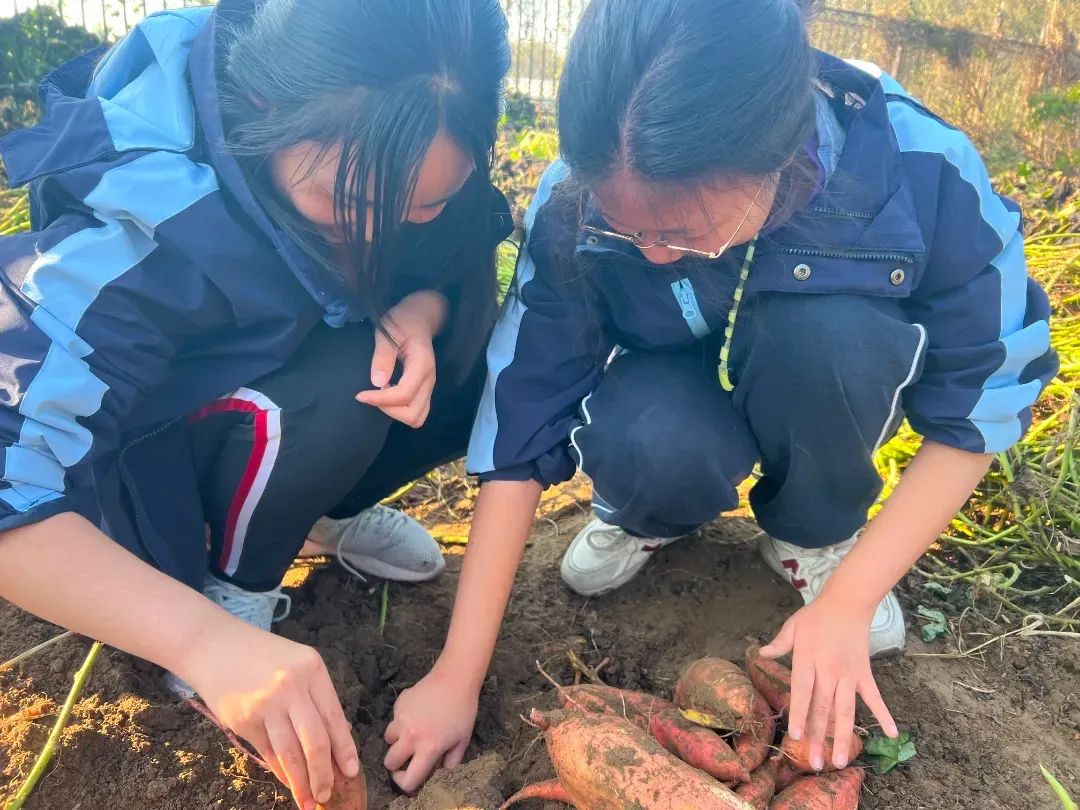 初二转学最后窗口:避开中考“分流焦虑”,提前锁定优质高中 第5张 初二转学最后窗口:避开中考“分流焦虑”,提前锁定优质高中 第5张