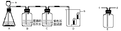 初中化学中考复习 第六单元碳与碳的氧化物 第11张