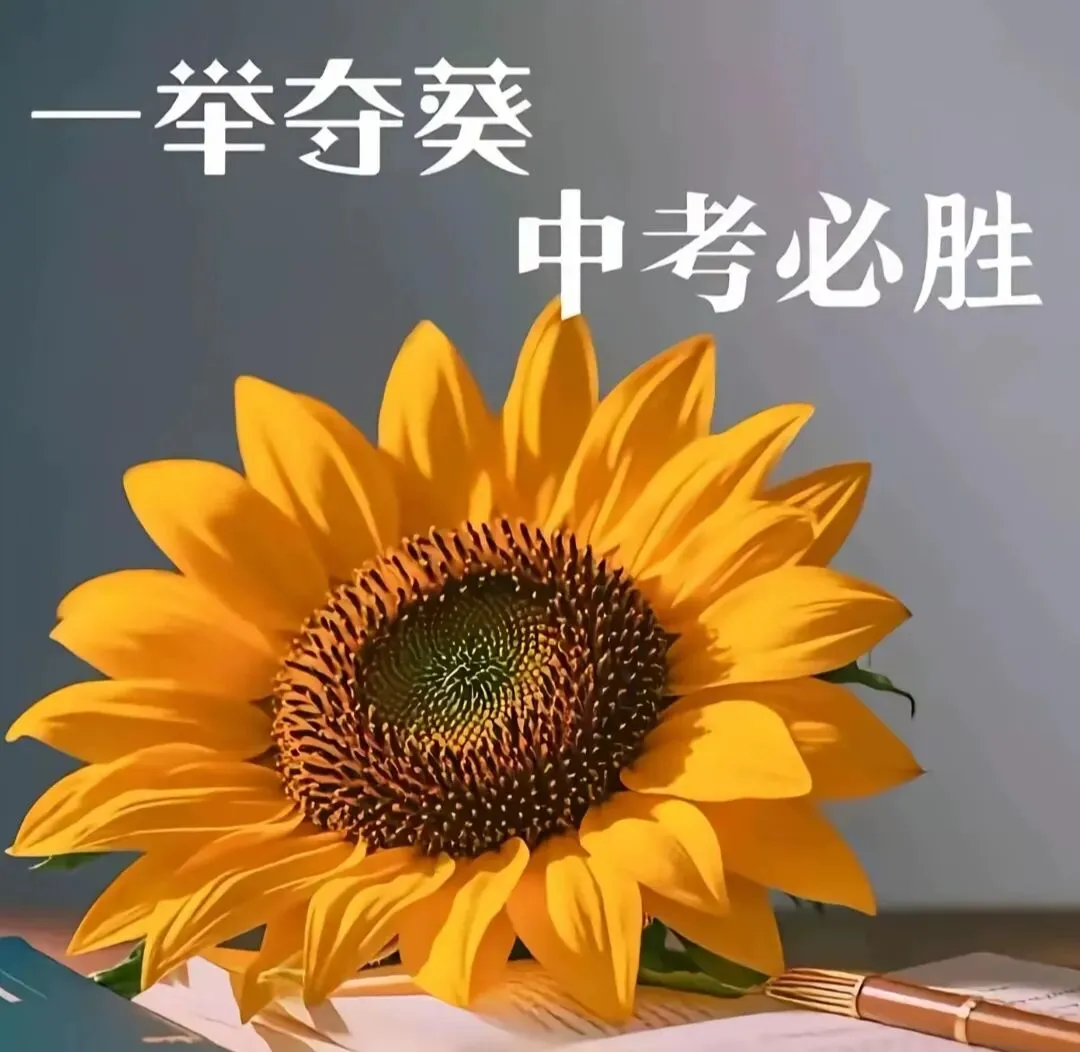 中考倒计时48天: 一名初三语文老师的心里话 第2张 中考倒计时48天: 一名初三语文老师的心里话 第2张