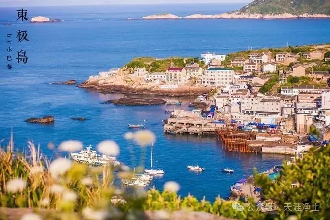 中考假期6月15日-17日.浙江【东极·东福山】双岛腐败游玩计划·2026·山海有约·天涯户外 第5张 中考假期6月15日-17日.浙江【东极·东福山】双岛腐败游玩计划·2026·山海有约·天涯户外 第5张