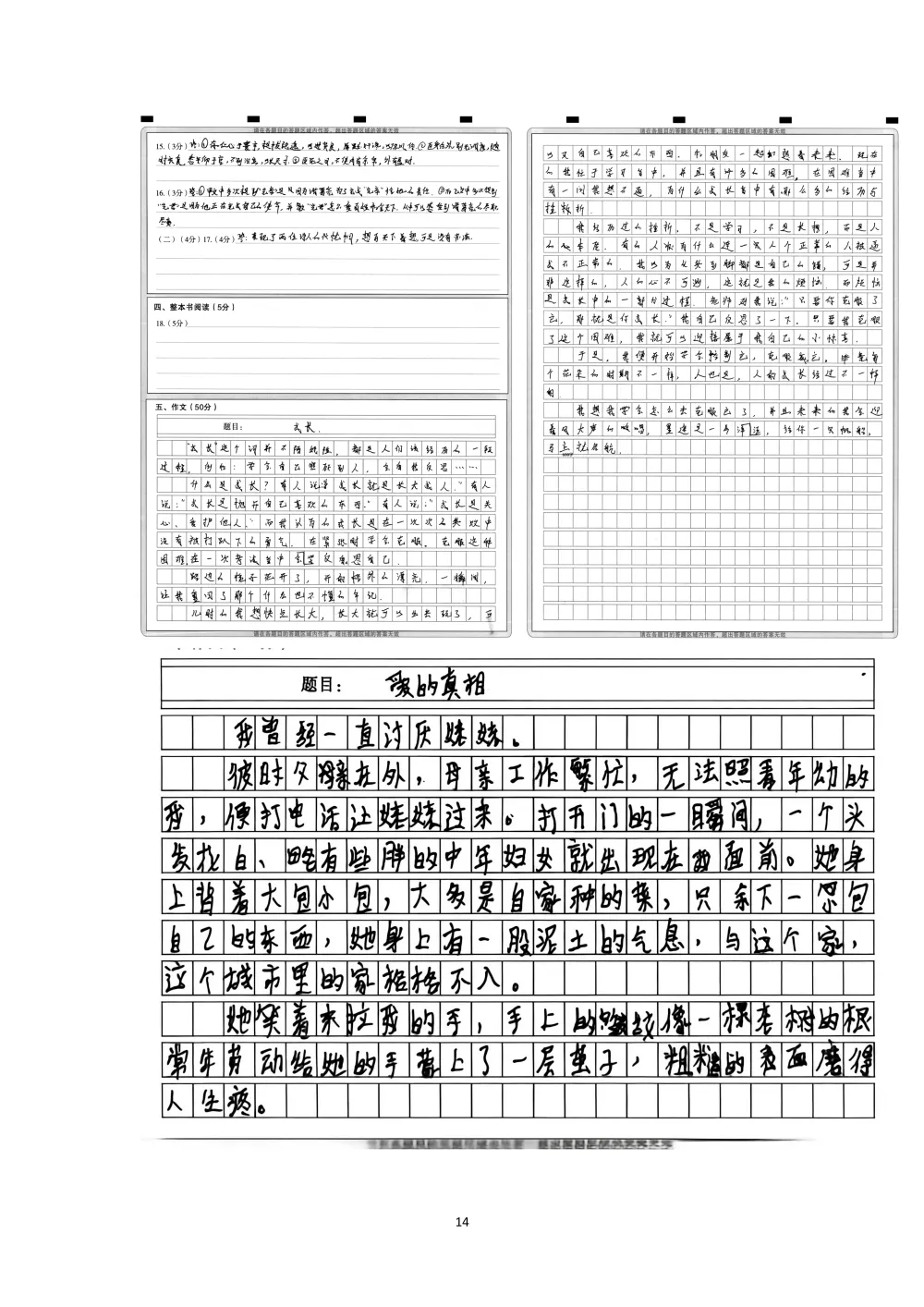 2026年初中学业水平考试第一次模拟语文试卷分析 第38张