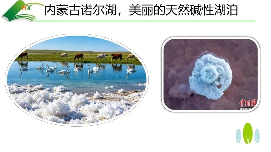 【中考化学复习课件】探源古法制碱·悟透溶质奥秘——氢氧化钠的制备、探究与绿色处理(课件+教学设计+学案) 第4张 【中考化学复习课件】探源古法制碱·悟透溶质奥秘——氢氧化钠的制备、探究与绿色处理(课件+教学设计+学案) 第4张